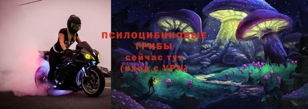 mdpv Горняк