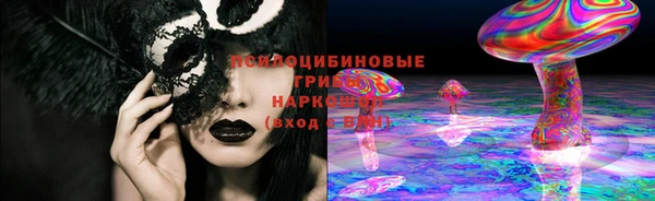 mdpv Горняк